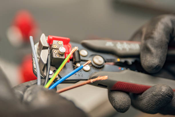 Best Electric Panel Repair  in Raton, NM